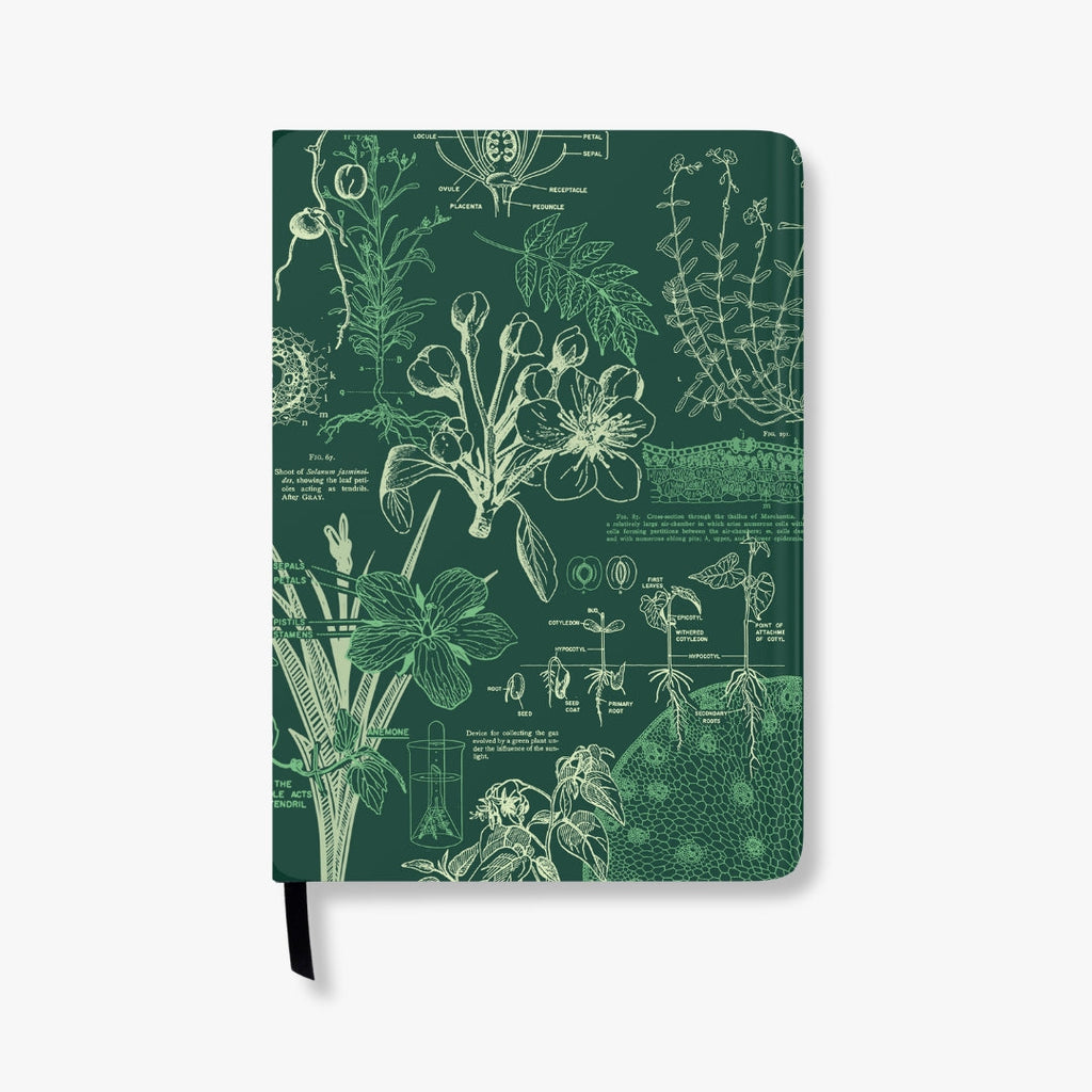 Botany A5 Hardcover Notebook – 192 Pages