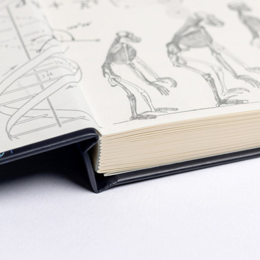 Botany A5 Hardcover Notebook – 192 Pages